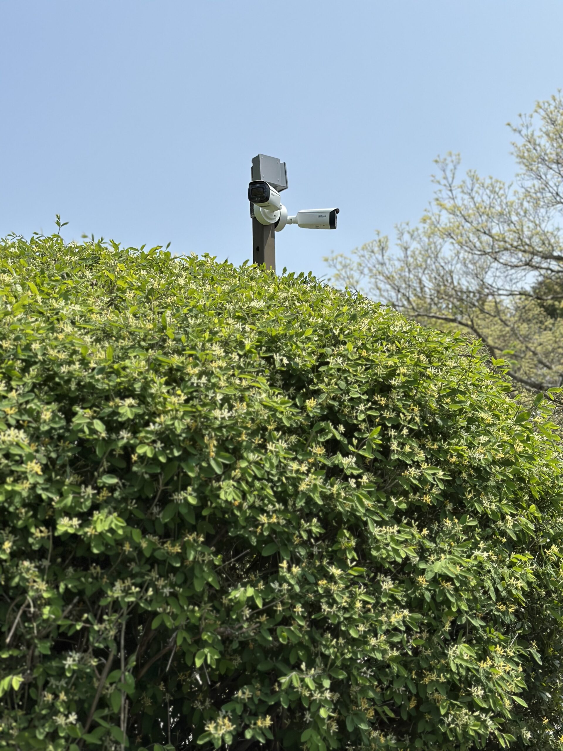 Tech Vision NY installation photo 20